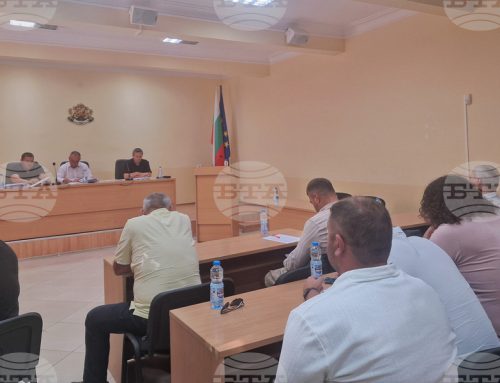 Над 3500 кубически метра дървесина от общинските гори в Исперих ще бъдат предложени за продажба